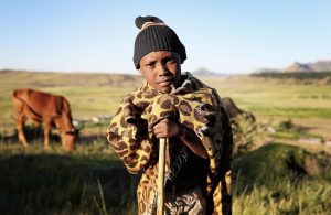 I Lesotho bärs filtarna av tradition, stolthet och nödvändighet. Det blir kallt på höjderna. En käpp och mössa hör också till.