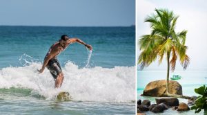 En surfare på den stranden Lopes Mendes och den karaktäristiska palmen på Aventureiro beach. Foto: Thinkstock och Karin Wimark.