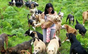 I det förlovade landet för herrelösa "byrackor" i Costa Rica får alla hundar en andra chans. Foto: Teritorio de Zaguates.