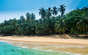 Chokladöarna – São Tomé & Príncipe. Foto: IBL