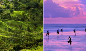Stränder, fiskare, teodlingar och tåg – det här är 10 platser du inte får missa på Sri Lanka. Foto: Getty Images