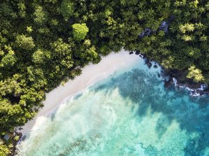 Roger Borgelid reste till Seychellernas skönaste öar. Dags att njuta! Foto: Roger Borgelid