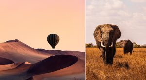 Se elefanter, öken och städer på en roadtrip genom södra Afrika. Foto: GettyImages/Unsplash