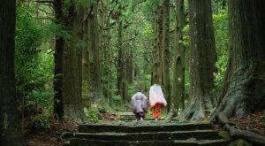 I över tusen år har det vandrats på pilgrimsleden Kumano Kodo i Japan. Foto: Gettyimages / Ippei Naoi.