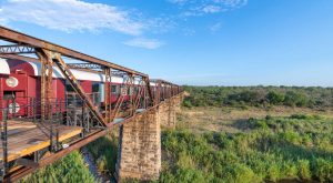På en tågbro mitt i den sydafrikanska nationalparken Kruger hittar du det nya lyxhotellet Kruger Shalati. Foto: Kruger Shalati / Kyle Lewin.