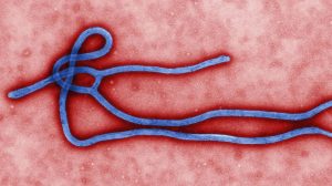 Ebolaviruset har hög dödlighet, men sprids bara via kroppsvätskor och är inte luftburet. Risken att smittas som resenär är därför liten, om man följer de rekommendationer som finns.