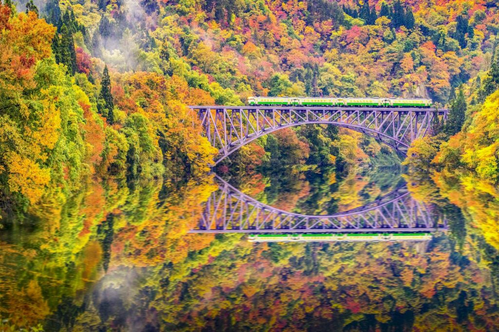 Ett tåg på en bro