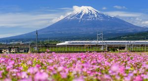 Ett Shinkansentåg framför berget Fuji