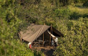 Tält i Krugerpark
